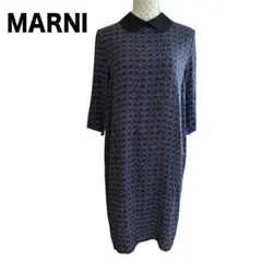 2026年最新】marni 柄：花柄 レディース 長袖・七分袖ひざ丈ワンピース
