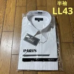PARIS ／メンズ半袖ワイシャツLL-43／ストライプ／未使用