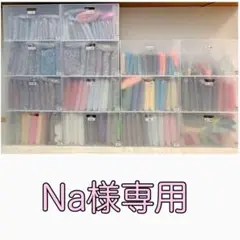 Na様専用