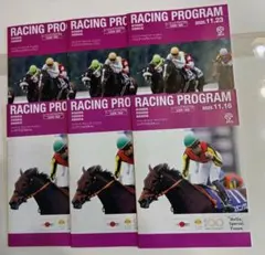 【祝】超メルカリ市 JRA エリザベス女王杯•マイルチャンピオンSレープロ各3冊