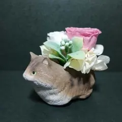 レジンポットのプリザーブドフラワー(ノルウェージャンフォレストキャット)