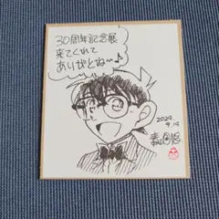 ルパン三世 カリオストロの城 45周年記念色紙【新品、未開封】 - メルカリ