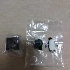 ネイチャーテクニカラー　イワトビペンギン