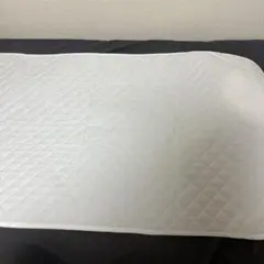 Item thumbnail for item e05e3a0a-5343-4d9e-abea-b09fe9423de2