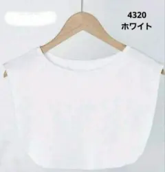 Item thumbnail for item b832d3fe-cad3-4ea7-9672-3edfaa0b8204