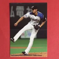 ハイライトフォト 日本ハムファイターズ 大谷翔平 西川遥輝 公式写真