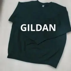 限定最終SALE❣️GILDAN ギルダン L スウェット 緑