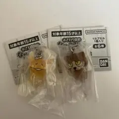 おさわり探偵 なめこ栽培キット めじるしアクセサリー ねこなめこ 天使なめこ