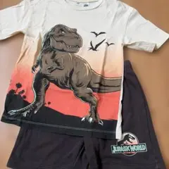 ★H&M★ジュラシックワールド　セットアップのサムネイル