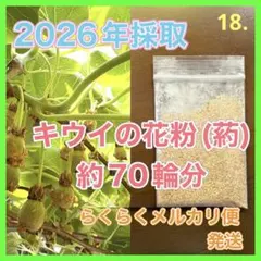 2026年最新】キウイフルーツ 花粉の人気アイテム - メルカリ