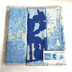 ディズニーバケーションパッケージ バケパ ミニタオル