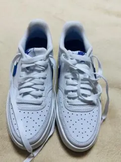 Nike スニーカー ホワイト/ブルー US 7.5