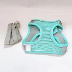 Item thumbnail for item 839b2d19-1130-4039-9e4d-ee434f4ebf15