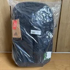 新品　GREGORY RHUNEルーヌ20のサムネイル