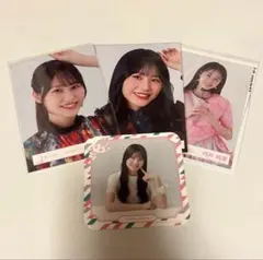 2025年最新】向井純葉生写真の人気アイテム - メルカリ