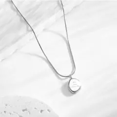 ネックレス コイン スネークチェーン シルバーサージカルステンレス 人気 新品