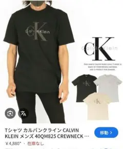 Calvin Klein CKロゴTシャツ　平成　y2k　オンライン完売品