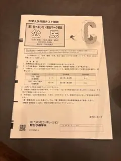 大学入学共通テスト模試 第1回ベネッセ・駿台マーク模試 公民