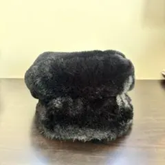 Item thumbnail for item 51c38cbf-35e1-487e-bfb0-8cef2913fd0e