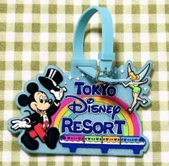激レア！希少！ディズニー 旅行用タグ ラゲッジタグ 2個セット 未使用品 激レア！希少！ディズニー 旅行用タグ ラゲッジタグ 2個セット