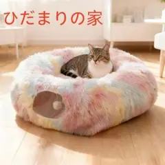 Item thumbnail for item 28412d88-72ac-46ce-b500-7ee8030b594f