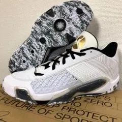 NIKE AIR JORDAN 38 LOW PF FD2325-107 26