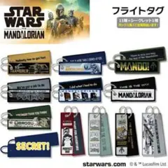 スター・ウォーズ マンダロリアン フライトタグ 12種セット