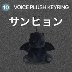 ALD1 VOICE PLUSH KEYRING_SANGWON - メルカリ