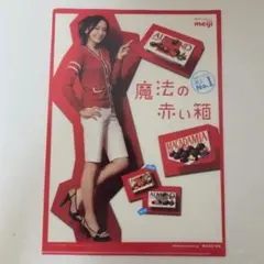 クリアファイル 新垣結衣 東京メトロ - メルカリ