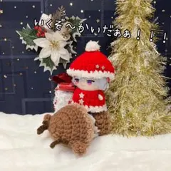 クリスマスset♡ にじぱぺっと ぬい服 ぱぺ服