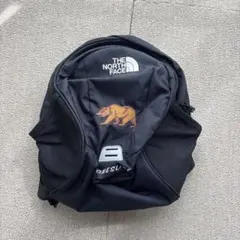 【即購入OK‼️】THE NORTH FACE 黒いリュック クマ刺繍