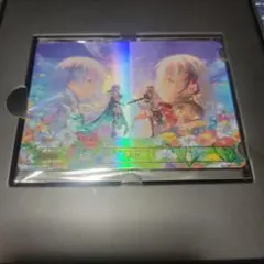 シャドウバースエボルヴ SEP シャドバフェス 箱付き - メルカリ