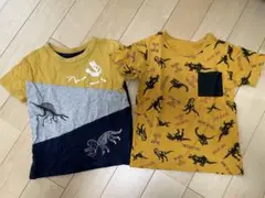 恐竜プリントTシャツセット 110cm.120cm
