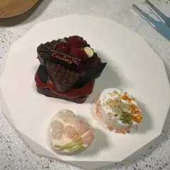 Sugar様専用ページ