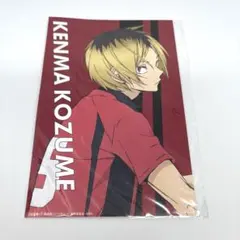 孤爪研磨　ハイキュー　ダイアン　Diane 　ポストカード　ネイチャーラボ