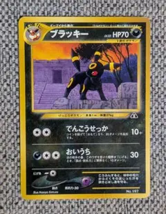 ※希少※準美品※ブラッキー プレミアムファイル 旧裏（管理用840）