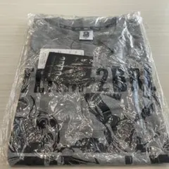 2BRO. しまむらTシャツ Mサイズ グレー