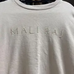 Item thumbnail for item 294ae0c5-372e-4356-9dc5-e2d20af46b61