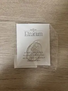 Etrarium "Etra " brooch