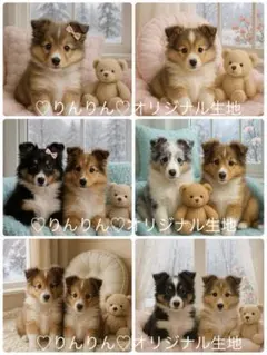 パネル生地　犬柄　シェルティとテディベア　12/27