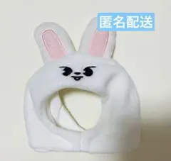 stray kids リービット ペンラカバー ver.2