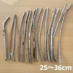 Item thumbnail for item e6386f0e-dc7d-41cd-9b1f-739e70699ed1