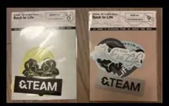 &TEAM Back to Life ステッカー2枚セットのサムネイル
