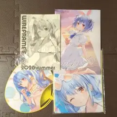 ホロライブ 兎田ぺこら 憂姫はぐれ wireframe アクリルスタンド - メルカリ
