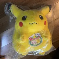 おかえりピカチュウ　新品　ピカチュウ　ポケモンセンター　30周年