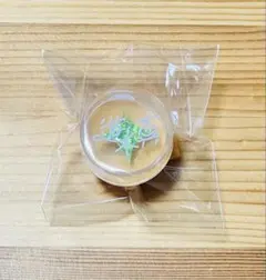 あんスタ　スタライ　リングライト　リンライ　遊木真