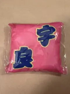 大相撲ガチャ　座布団キーホルダー　宇良