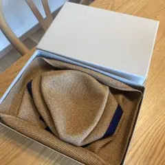 Item thumbnail for item 002927f5-5b0e-42c5-8db0-3ab6684fbadc