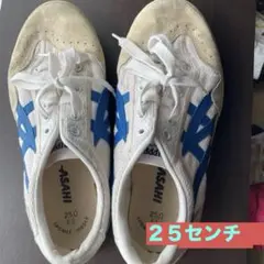 Item thumbnail for item 1b9b0884-490c-4fa6-a023-bfafc24ad8b1