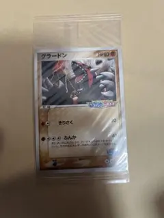 ポケパーク グラードン プロモ 042/PCG-P ポケモンカード 未開封